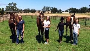 Impregnable, Dunmore East, and Unbridled Falls with interns and Angie Scully at Los Laureles Training & Equine Therapy