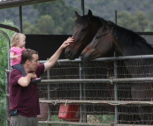 Baby & Dad meeting an Off-Track Thoroughbred