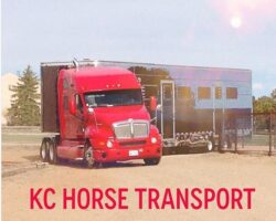 KC Horse Transport
