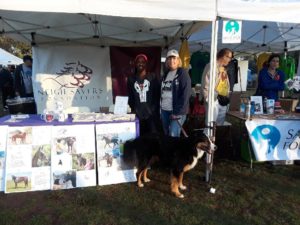 Race for the Rescues 2017