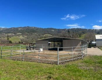 IMG_20250323_133945